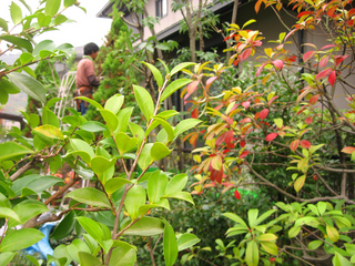 20101113-1.jpg