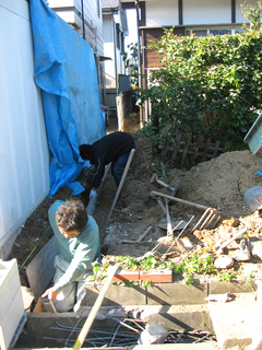 20101117-1.jpg