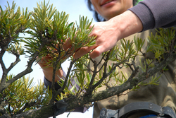 20100227-maki-up.jpg