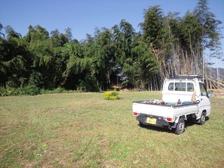 DSC_0002.JPG